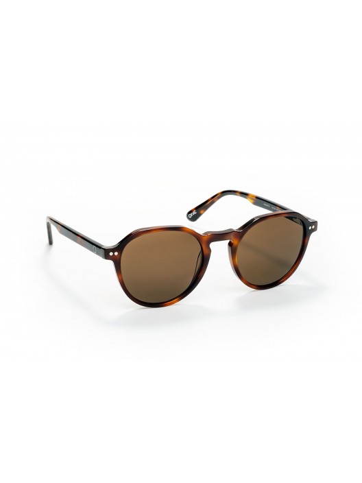 ONE Active Brown Sunglasses