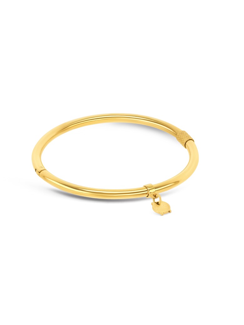 Jonc Energy Master Oval Gold