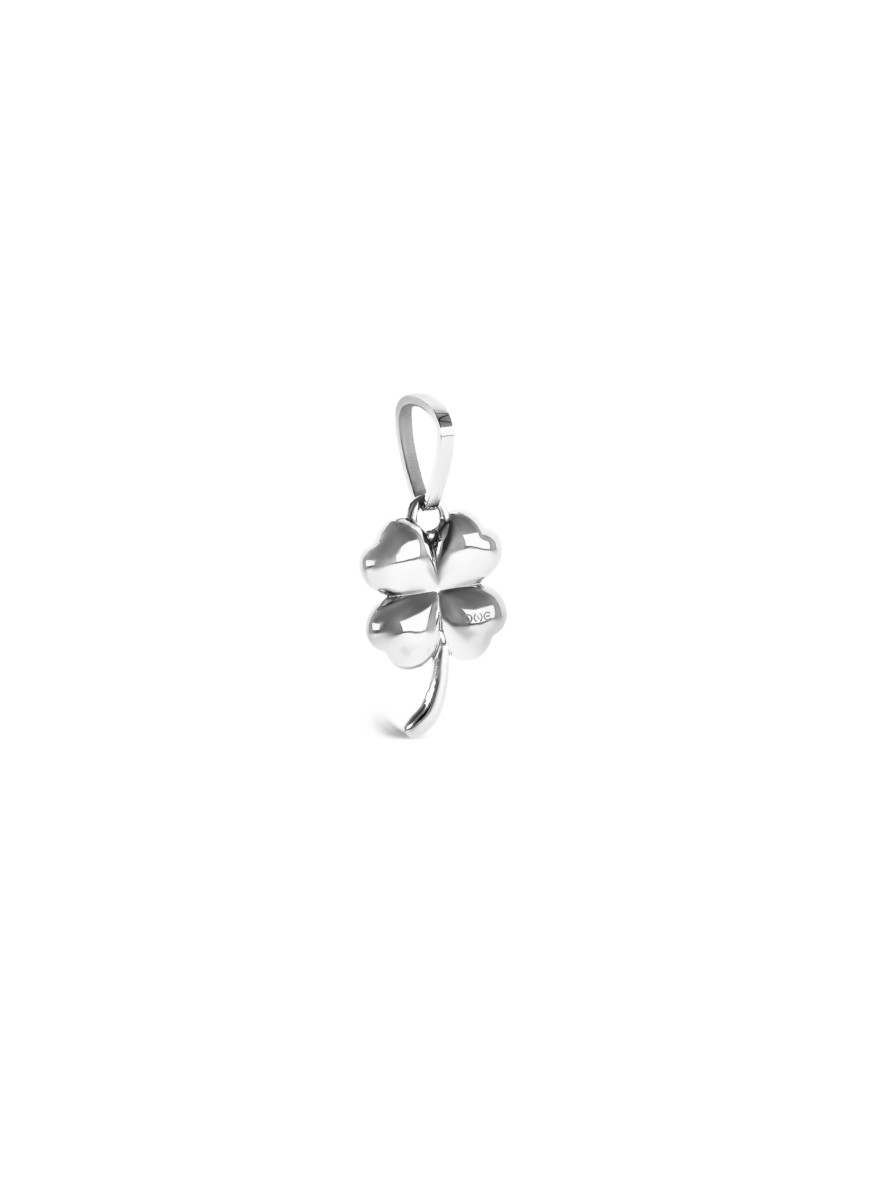 Charm One Energy Fortuna Silver