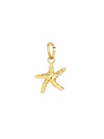 Charme One Energy Seastar