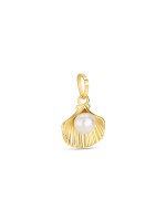 Charme One Energy Treasure