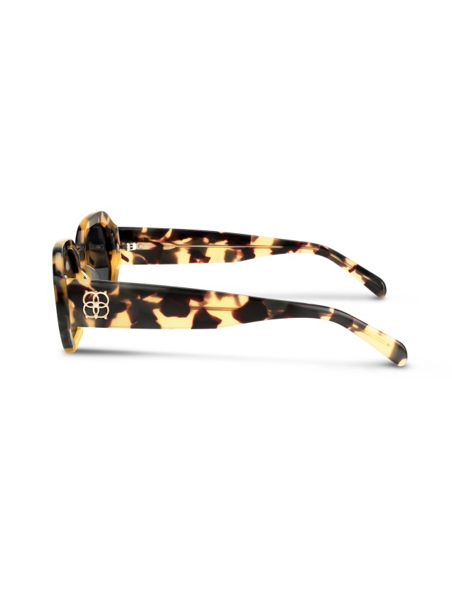 culos de Sol Prism Turtle