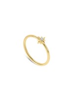 Dourado