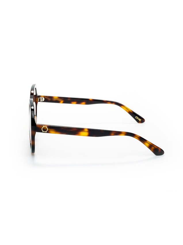 Lunettes de Soleil One Box Powerful Marron
