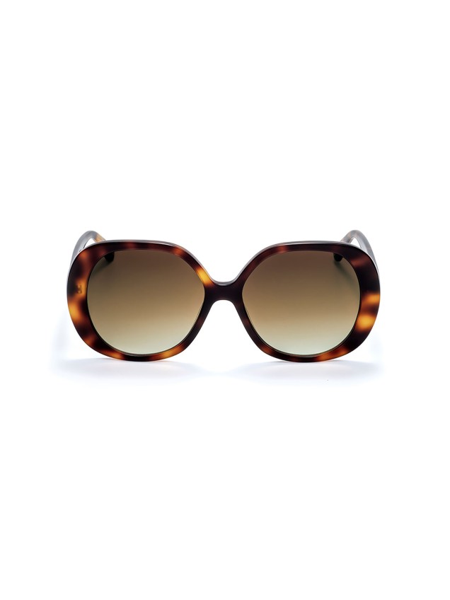 Lunettes de Soleil One Box Powerful Marron