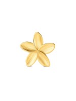 Dourado